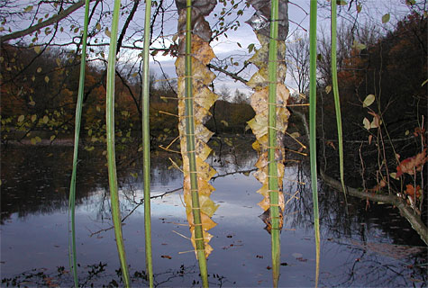 erwachsene06